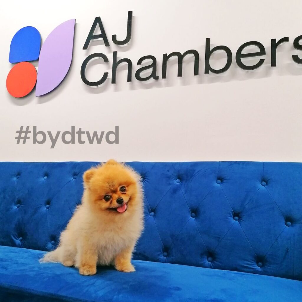 career bring dog to work day
